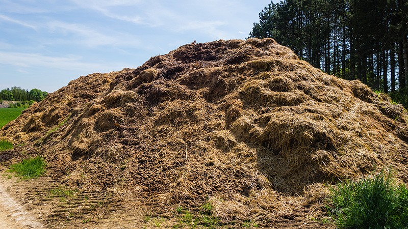 Hromada hnoje jako tajná zbraň stoleté války aneb neobvyklý plán rytíře La Hira